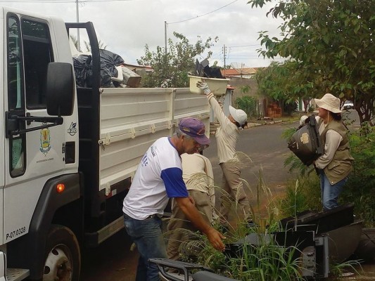 Mais de cinco caminhões de lixo que poderia servir de possível criadouro para o mosquito foram recolhidos das residências