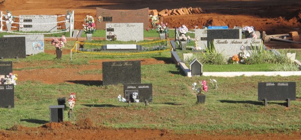 Revitalização do Cemitério Park tem início com a retirada de árvores 