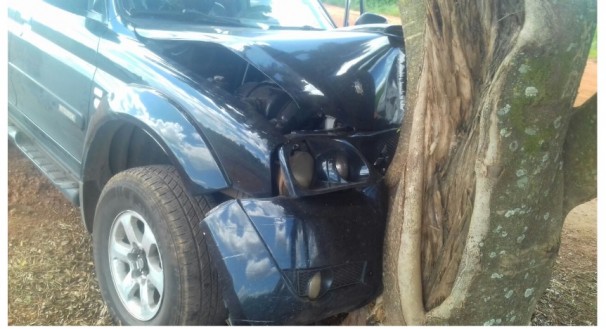 Veículo chocou-se contra uma árvore à margem da rodovia