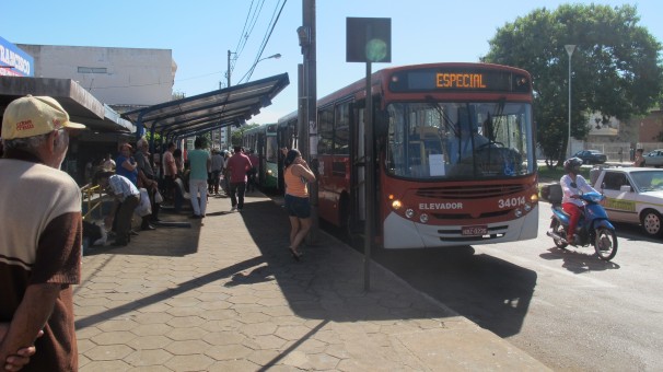 Em torno de dez ônibus estão circulando na cidade