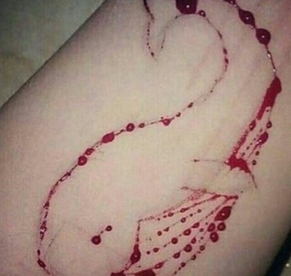 Em um dos desafios, o jogador é induzido a desenhar uma baleia azul no braço utilizando objetos cortantes