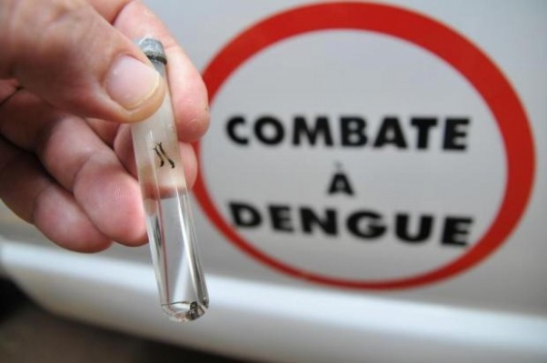 O sistema auxilia a população no combate à erradicação do mosquito 