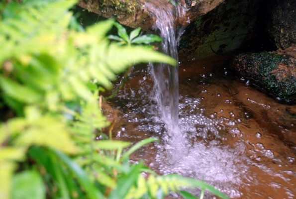 Participantes receberão certificados do Serviço Nacional de Aprendizagem Rural