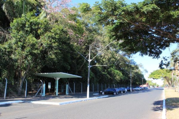 Festival reúne exposição de artes plásticas, feira de artesanato, oficinas culturais 