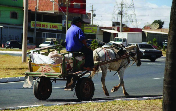 Os carroceiros serão orientados sobre o descarte de materiais e o cadastro de profissionais para evitar irregularidades