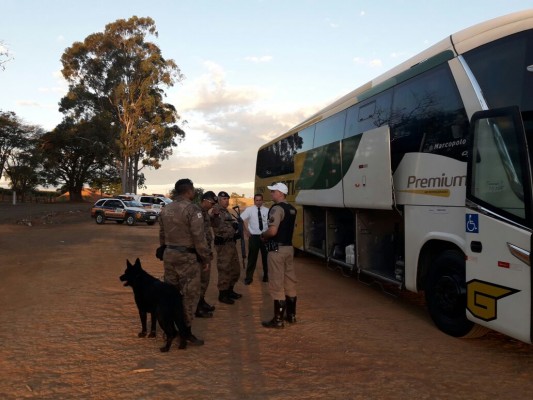 Operação realizada na sexta-feira contou com o apoio da Ronda Ostensiva com Cães Adestrados