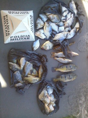 Apreensão aconteceu em operação na MG-223