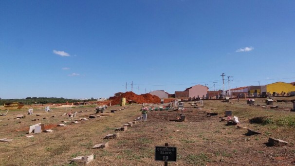  Falta de muro facilita a entrada de animais 