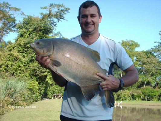 Luiz Paulo Resende (2/8)