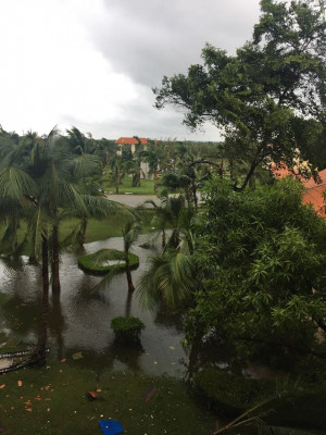 Mineira registra estragos provocados pela passagem do furacão Maria (FONTE: ARQUIVO PESSOAL FABRYNE OBALHE)