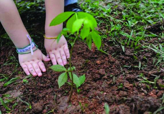 Atividades ecológicas de conscientização ambiental serão realizadas com crianças e adolescentes