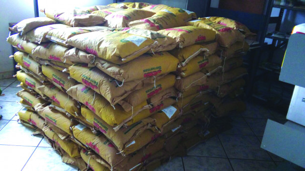 250 sacos de sementes serão distribuídas para produtores familiares