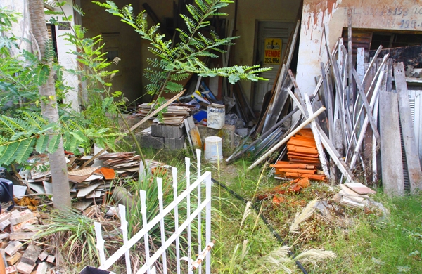 Moradores devem verificar os quintais ao menos uma vez por semana