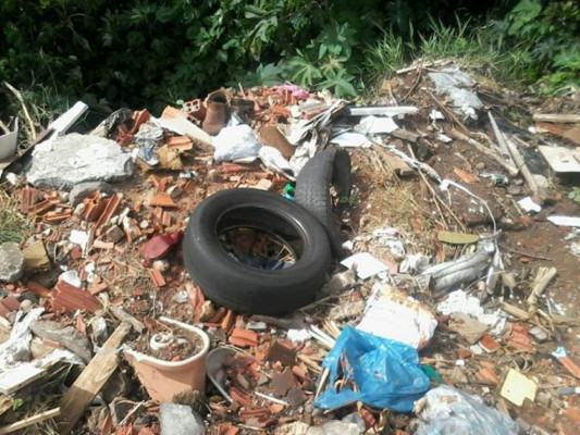 Vasos de plantas, pratos, bebedouro de animais e frascos com água se encontram a maioria dos criadouros 