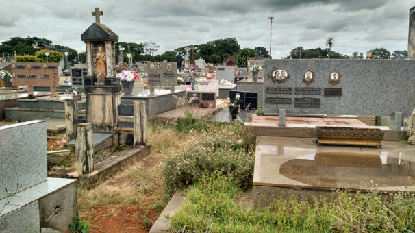 Principais reclamações envolvem falta de capina e lixo nos cemitérios 