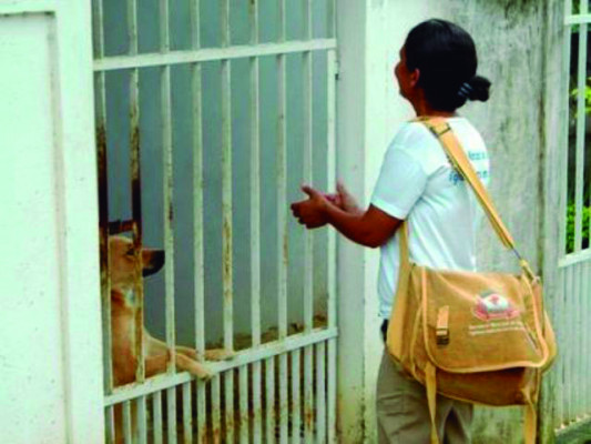 Visitas domiciliares individuais trazem insegurança a alguns agentes