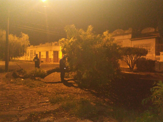 Ventos chegaram a 80 km/h e causaram danos em toda a cidade