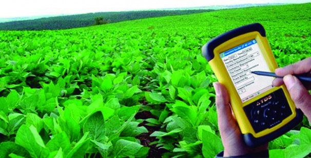 Pesquisa deve ser realizada pessoalmente e pode ser agendada pelo consumidor