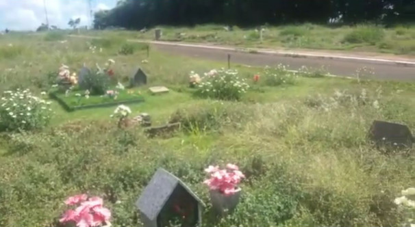 Secretaria de Obras vem buscando alternativas para realizar os serviços de capina e manutenção