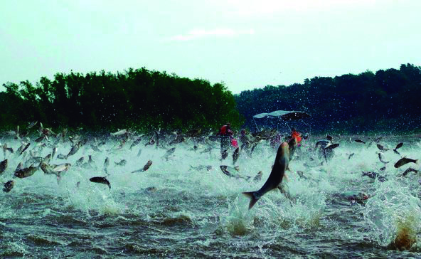 Militares aplicaram mais de R$ 37 mil em multas administrativas