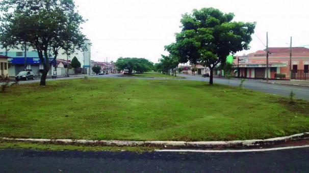 Frutas de algumas espécies podem machucar transeuntes e danificar veículos