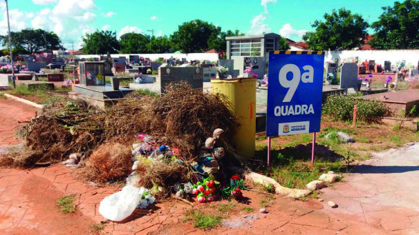 Vegetação toma conta de várias partes