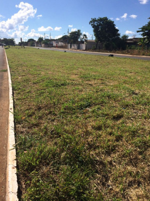  Trabalhos de limpeza na cidade continuam