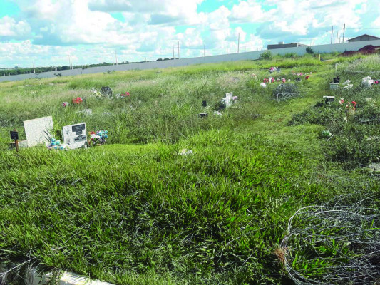 Limpeza do Cemitério Park está sendo realizada por servidores da secretaria de Serviços Urbanos