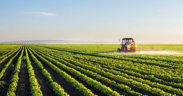 Setor de Agropecuária apresentou melhores resultados do mês de abril