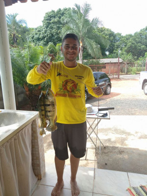 Bruno Piassa 6/5