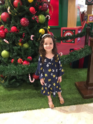 Lavínia Costa Pedroso Fernandes, aniversariante de hoje. Recebe o carinhos dos Pais Jamylla, Fabiano Candido e da irmã Lorena 