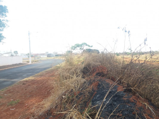De acordo com os militares, a vegetação no local estava alta, contribuindo para a quantidade de focos de incêndio 