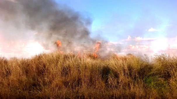 Até junho deste ano 3º Cia CBMMG atendeu 146 ocorrências de incêndios em vegetação