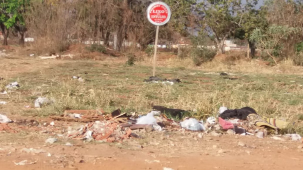 Descarte ilegal de lixo propicia o aparecimento de aracnídeos