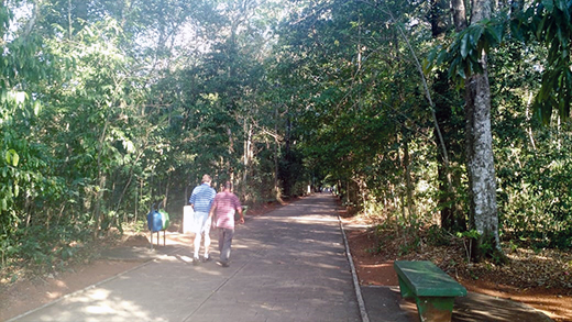 Em 2018 o Bosque completa 120 anos 