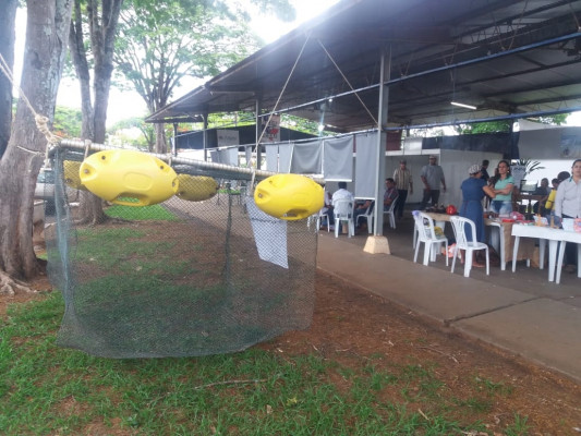 Encontro deve levantar principais gargalos que atrapalham no mercado de piscicultura da cidade