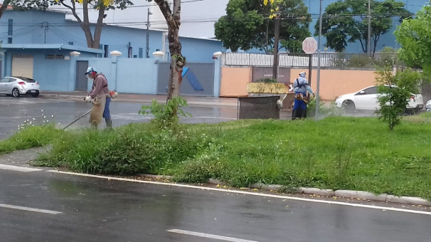 Devido ao período chuvoso é necessária maior atenção nos canteiros centrais  **Divulgação  