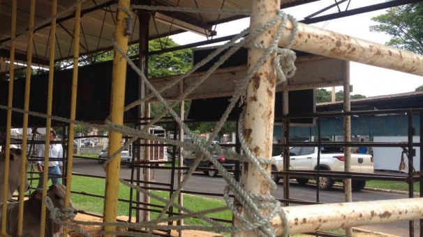Projeto possibilita promover a sustentabilidade no campo