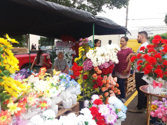 Expectativa para vendedores de flores artificiais é alta, ao contrário das floriculturas de flores naturais