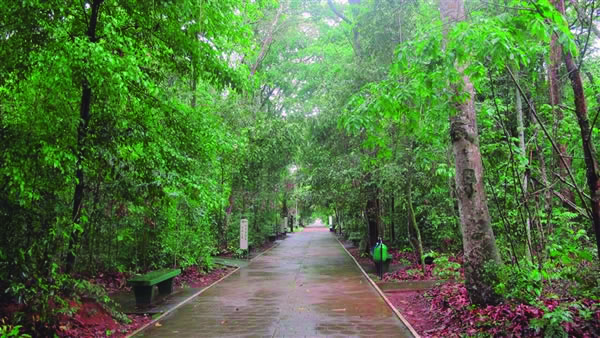 Projetos para a conservação de parques como o Bosque John Kennedy serão discutidos