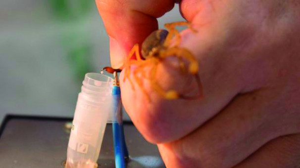 Ação foi instaurada após a morte de uma criança de quatro anos, no município de Estrela do Sul