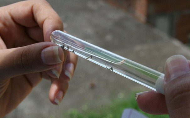 No período chuvoso e quente, o cuidado com água parada deve ser redobrado **Divulgação  