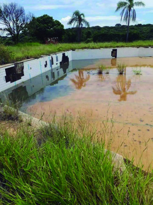 No período chuvoso e quente, o cuidado com água parada deve ser redobrado **Divulgação  
