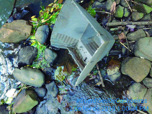 Os registros foram feitos nas cachoeiras do Desamparo e dos Lambaris **Divulgação