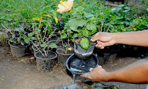 Febre alta, dor de cabeça, dor atrás dos olhos, perda de apetite, manchas vermelhas na pele são sintomas da doença 