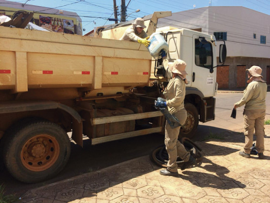 Município figura entre as cidades que apresentam números preocupantes de dengue e chikungunya