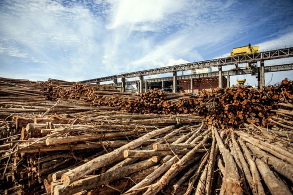 Segundo a empresa Duratex, esta será a maior linha de produção de celulose solúvel do mundo