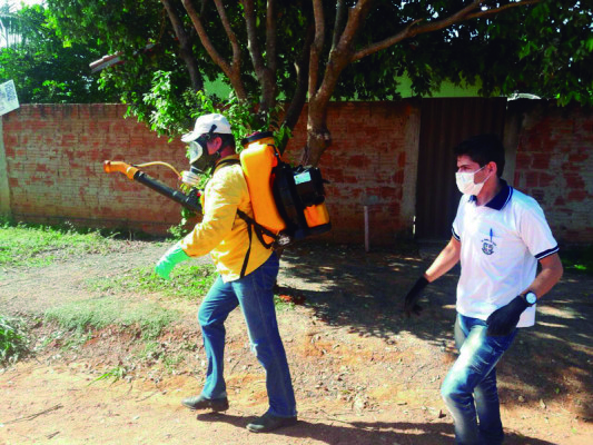 População deve se manter atenta quanto à proliferação do mosquito transmissor