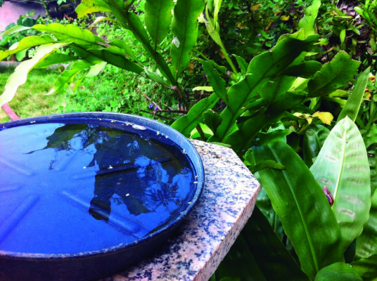 Mutirão nos bairros Santa Helena e Gutierrez promoveu ações de combate ao mosquito da dengue em mais de dois mil imóveis