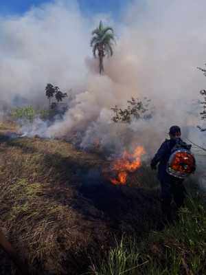 Queimadas são prejudiciais ao meio ambiente e ao sistema respiratório, especialmente de crianças e idosos 